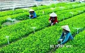 Dao tao ke toan o thanh hoa Dao tao ke toan o thanh hoa Đối với hợp tác xã nông nghiệp có rất nhiều nội dung kinh tế phát sinh, chúng ta cùng tìm hiểu ngay về chủ đề này nhé!