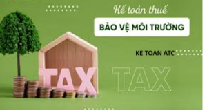 Học kế toán thuế tại Thanh Hoá Thuế môi trường là gì? Cách hạch toán thuế môi trường như thế nào? Mời bạn tham khảo bài viết dưới đây nhé!