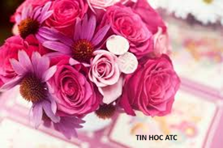 Học tin học văn phòng ở Thanh Hóa Học tin học văn phòng ở Thanh Hóa “Anh hùng, bất khuất, trung hậu, đảm đang”Đó là tám chữ vàng dành cho người phụ nữ Việt Nam, là một