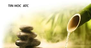 Hoc tin hoc tai thanh hoa “Tâm càng tĩnh trí càng thông”Đây là câu nói nhấn mạnh mối quan hệ mật thiết giữa sự tĩnh l