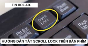 Hoc tin hoc tai thanh hoa Bạn muốn tắt tính năng scroll nhưng chưa biết cách? Mời bạn tham khảo cách làm sau đây:Kiểm tra xem máy tính