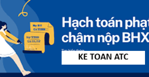 Hoc ke toan tai thanh hoa Trong quá trình hoạt động, nhiều doanh nghiệp có thể phát sinh tình trạng chậm đóng bảo hiểm xã hội (BHXH)