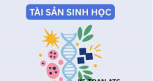Hoc ke toan thuc hanh o thanh hoa Từ ngày 01/01/2026, Thông tư 99/2025/TT-BTC chính thức có hiệu lực và thay thế Thông tư 200/2014/TT-