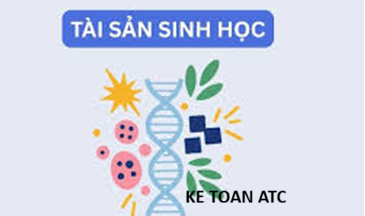 Hoc ke toan thuc hanh o thanh hoa Hoc ke toan thuc hanh o thanh hoa Từ ngày 01/01/2026, Thông tư 99/2025/TT-BTC chính thức có hiệu lực và thay thế Thông tư 200/2014/TT-
