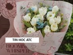 Học tin học cấp tốc tại thanh hóa Học tin học cấp tốc tại thanh hóa 20/10 NÀY "U MÊ" AI? GỢI Ý CÁCH GEN Z BẬT MODE YÊU THƯƠNG DÀNH CHO CÁC "NỮ THẦN"Mỗi độ tháng 10 gõ cửa,